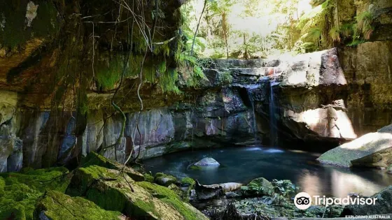 Carnarvon Gorge