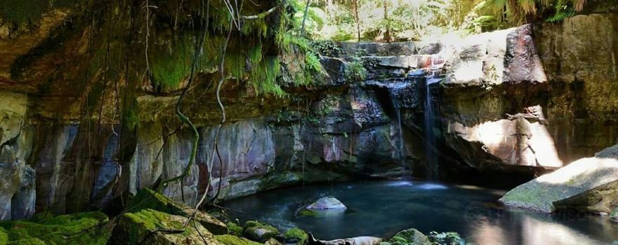 Carnarvon Gorge section, Carnarvon National Park