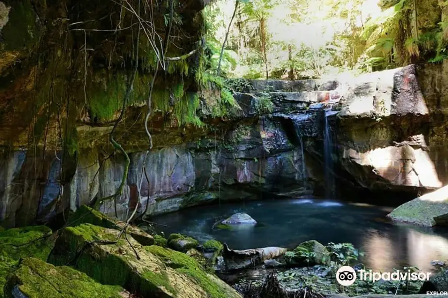 Carnarvon Gorge section, Carnarvon National Park