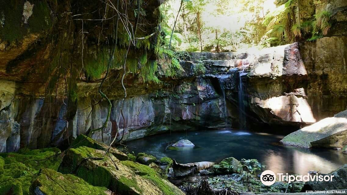 Carnarvon Gorge section, Carnarvon National Park