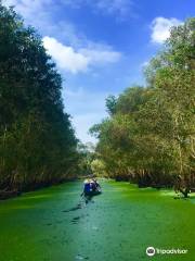 Tra Su Bird Sanctuary