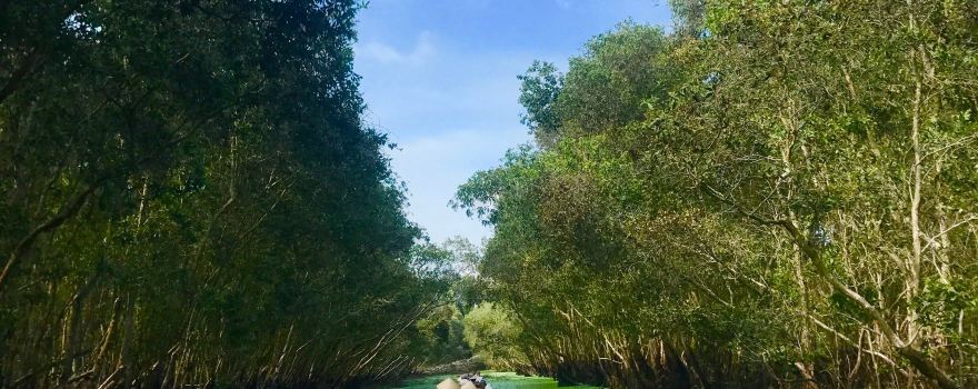Tra Su Bird Sanctuary