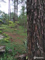 Maryknoll Ecological Sanctuary