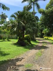Lautoka Botanical Gardens
