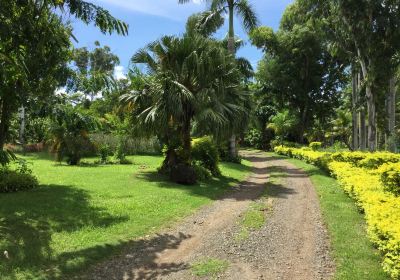 Lautoka