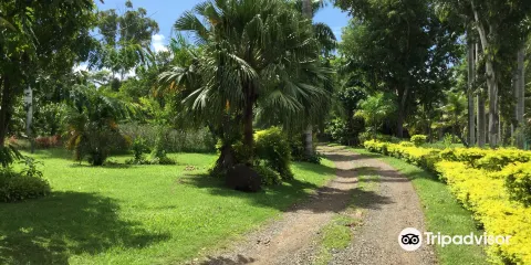 Botanical Gardens