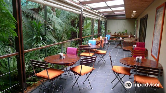 Stellenbosch University Botanical Garden