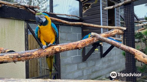 Filey Bird Garden and Animal Park