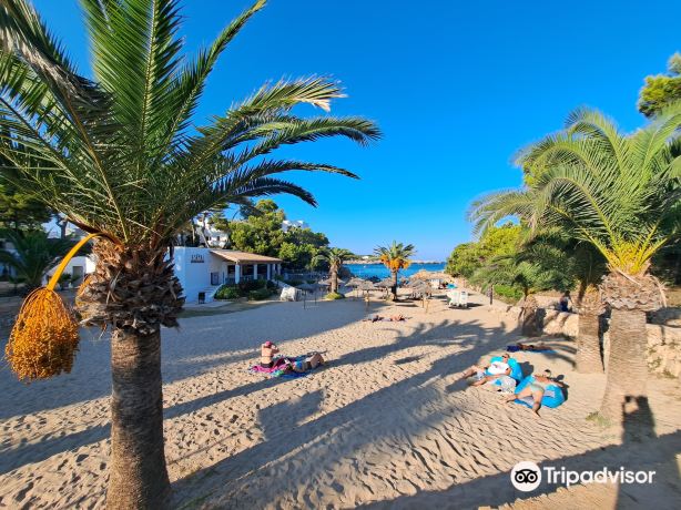 Cala d'Or