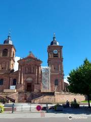 Cathédrale de Saint Dié