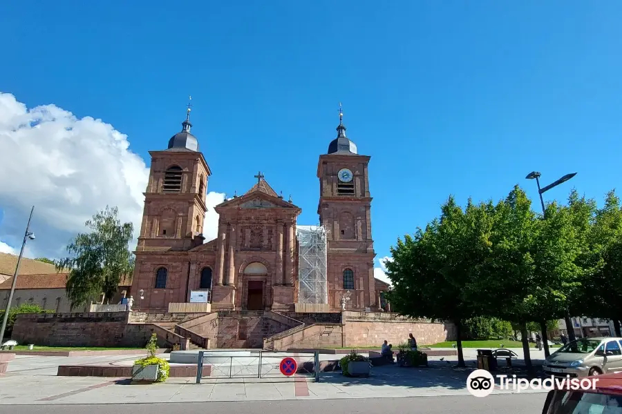 Saint-Dié Cathedral