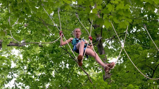 Frankenmuth Aerial Park