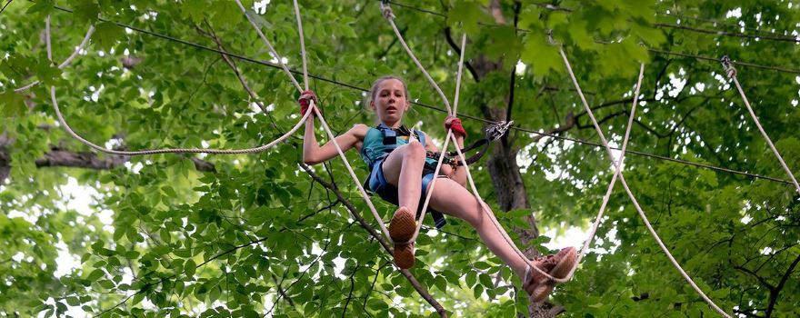 Frankenmuth Aerial Park
