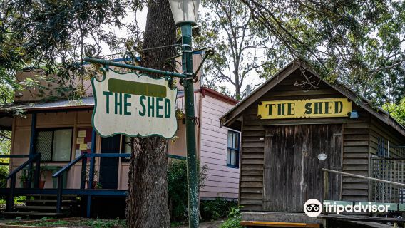 Old Petrie Town