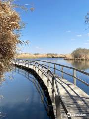 Azraq Wetlands Reserve