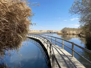 Azraq Wetlands Reserve