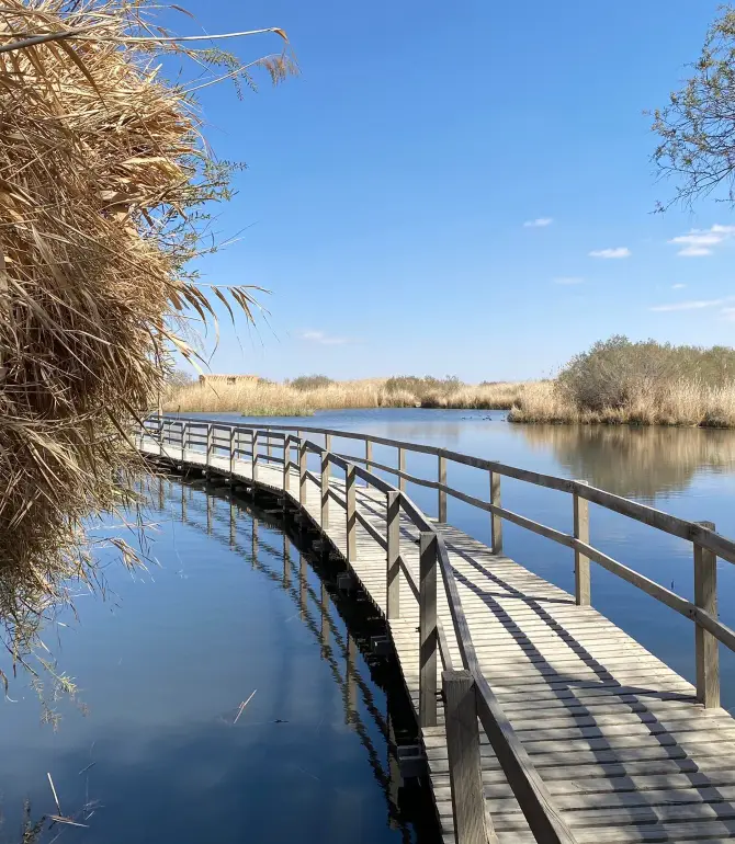 Azraq Sub-District