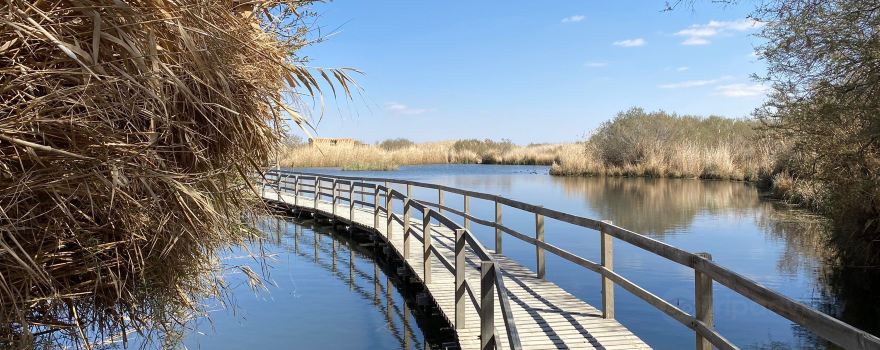 Azraq Wetlands Reserve