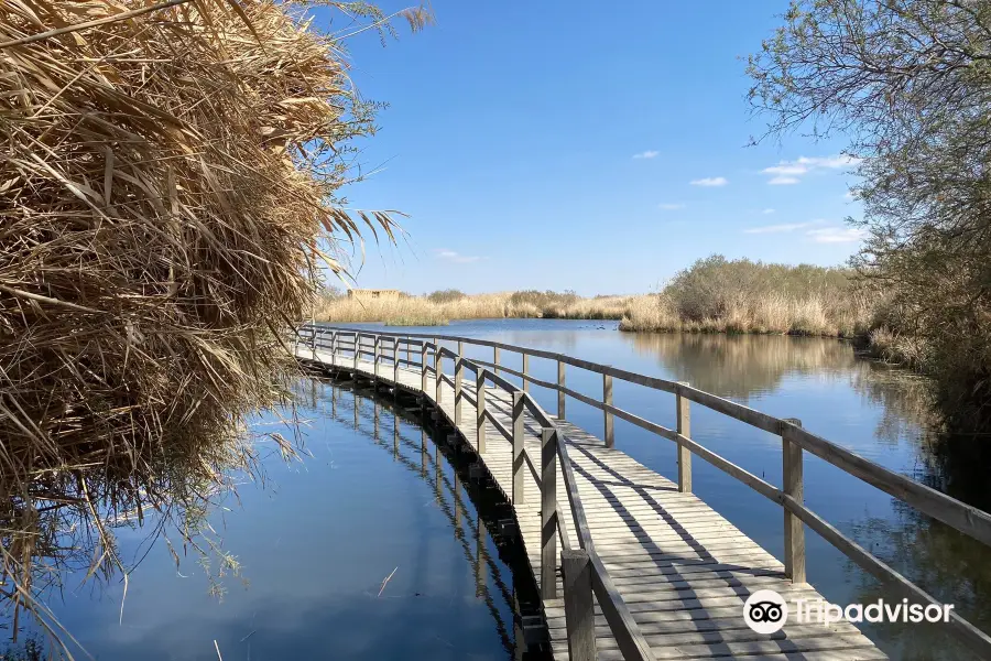 Azraq Wetlands Reserve