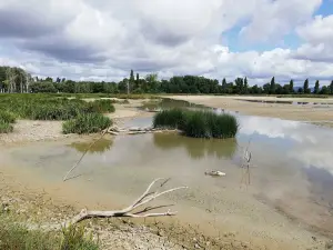 Parque de Salburua