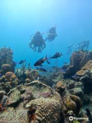 Diving Planet Cartagena - Centro de Buceo