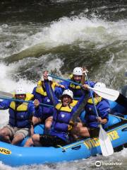 Wildwater