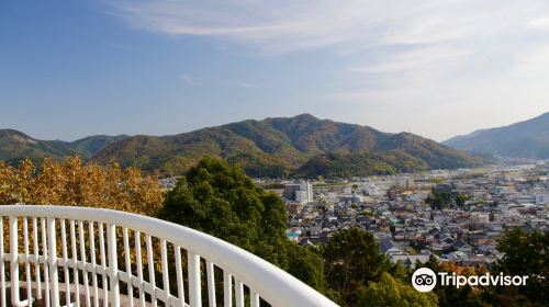 最上山公園もみじ山