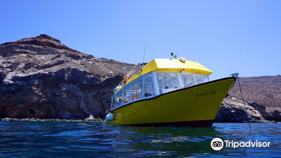 Delphinus Diving School