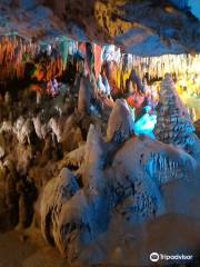 Parc d'État des Florida Caverns
