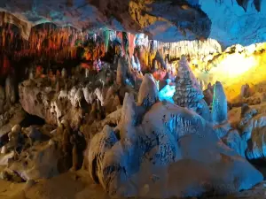 Parc d'État des Florida Caverns