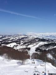 Joetsu Kokusai Ski Resort