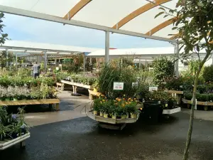 Brigg Garden Centre