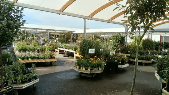 Brigg Garden Centre