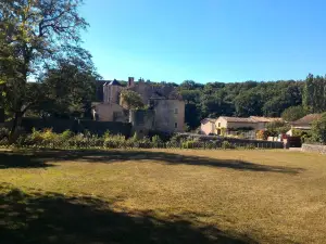 Abbaye de Saint Junien de Nouaillé-Maupertuis