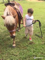 Party Animals Pony Rides