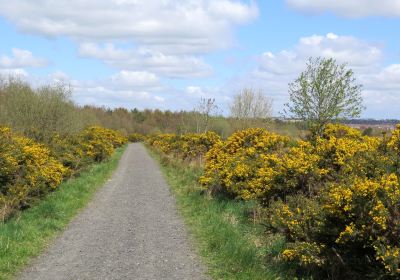 Chapman’s Well, Local Nature Reserve