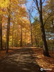 Vincent Massey Park