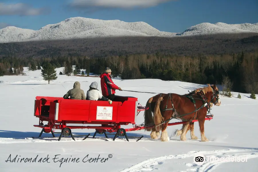 Lake Placid Sleigh Rides