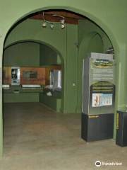 Museo del ambar Lilia Mijangos