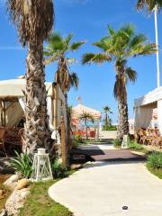 Bagno Pardini Beach Club & Restaurant