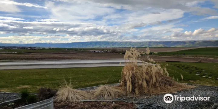 Lindsay Creek Vineyards