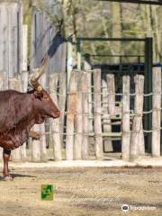 ZOO Planckendael