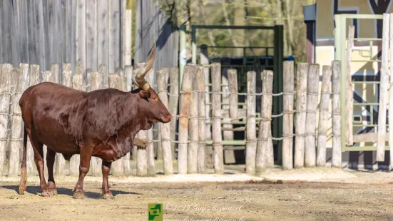 ZOO Planckendael