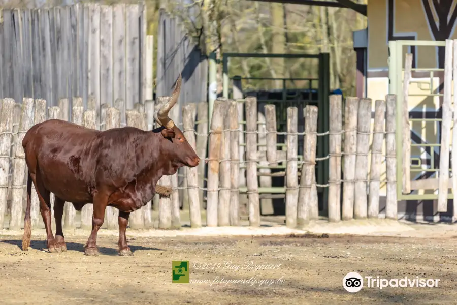 ZOO Planckendael