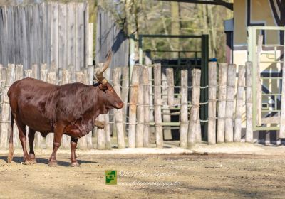 ZOO Planckendael