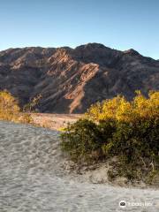 Grapevine Mountains