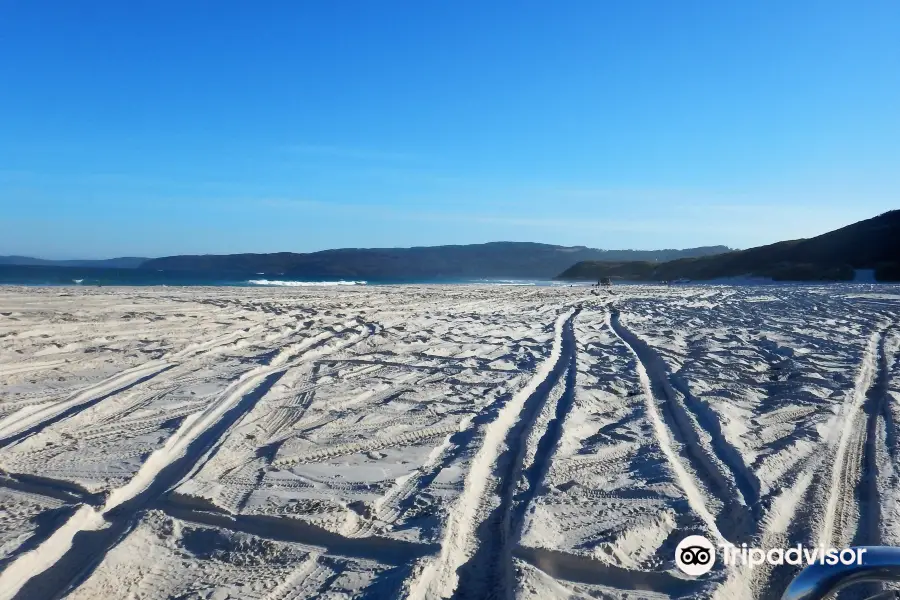 Muttonbird Beach and Shelter Island