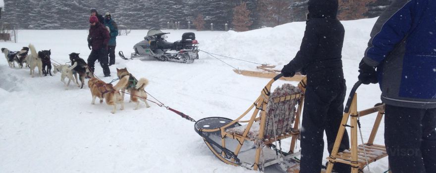 Shemhadar Dog Sled Adventures