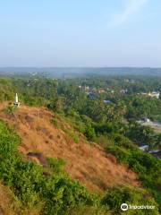 Arambol Mountain