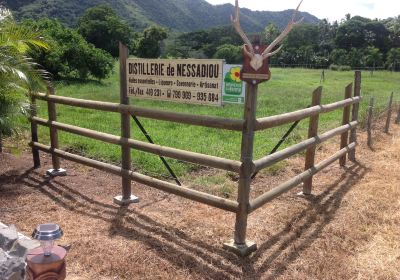 La Distillerie de Nessadiou